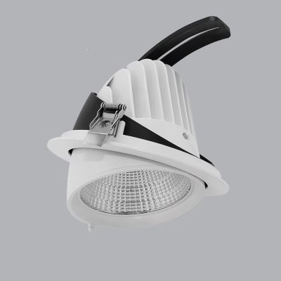 Đèn Downlight Điều Chỉnh 12W DLA