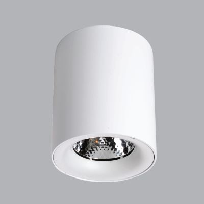 Đèn Downlight Tròn Lắp Nổi 12W