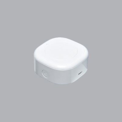 Thiết Bị Gateway Chuyển Đổi Wifi Sang Bluetooth